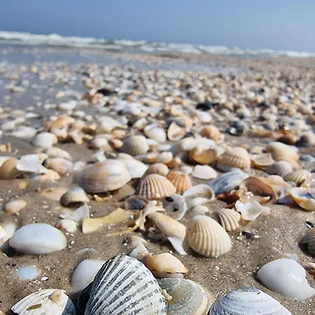 Duene 4 - Ferienunterkunft Mit Eigenem Garten In Der Beliebten Duenenresidenz - Sanftes Meeresrauschen Inklusive Karlshagen